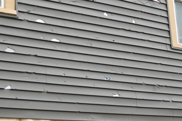 Best Aluminum Siding Installation  in Guymon, OK